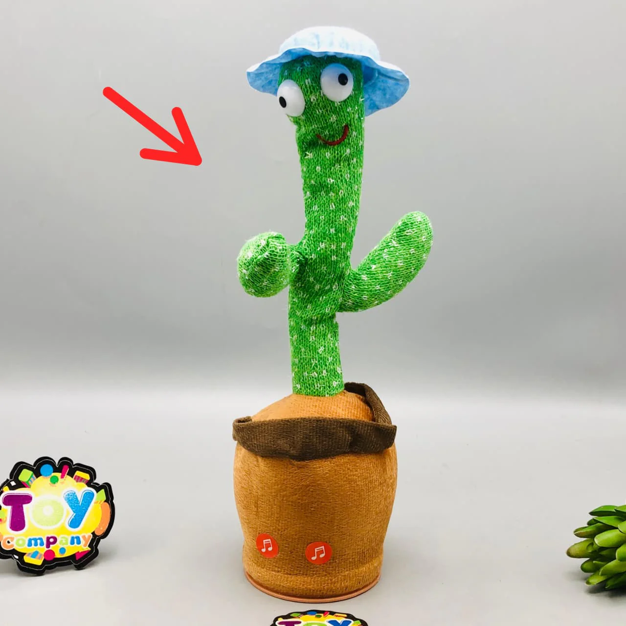Cute Musical Cactus - Major Fault